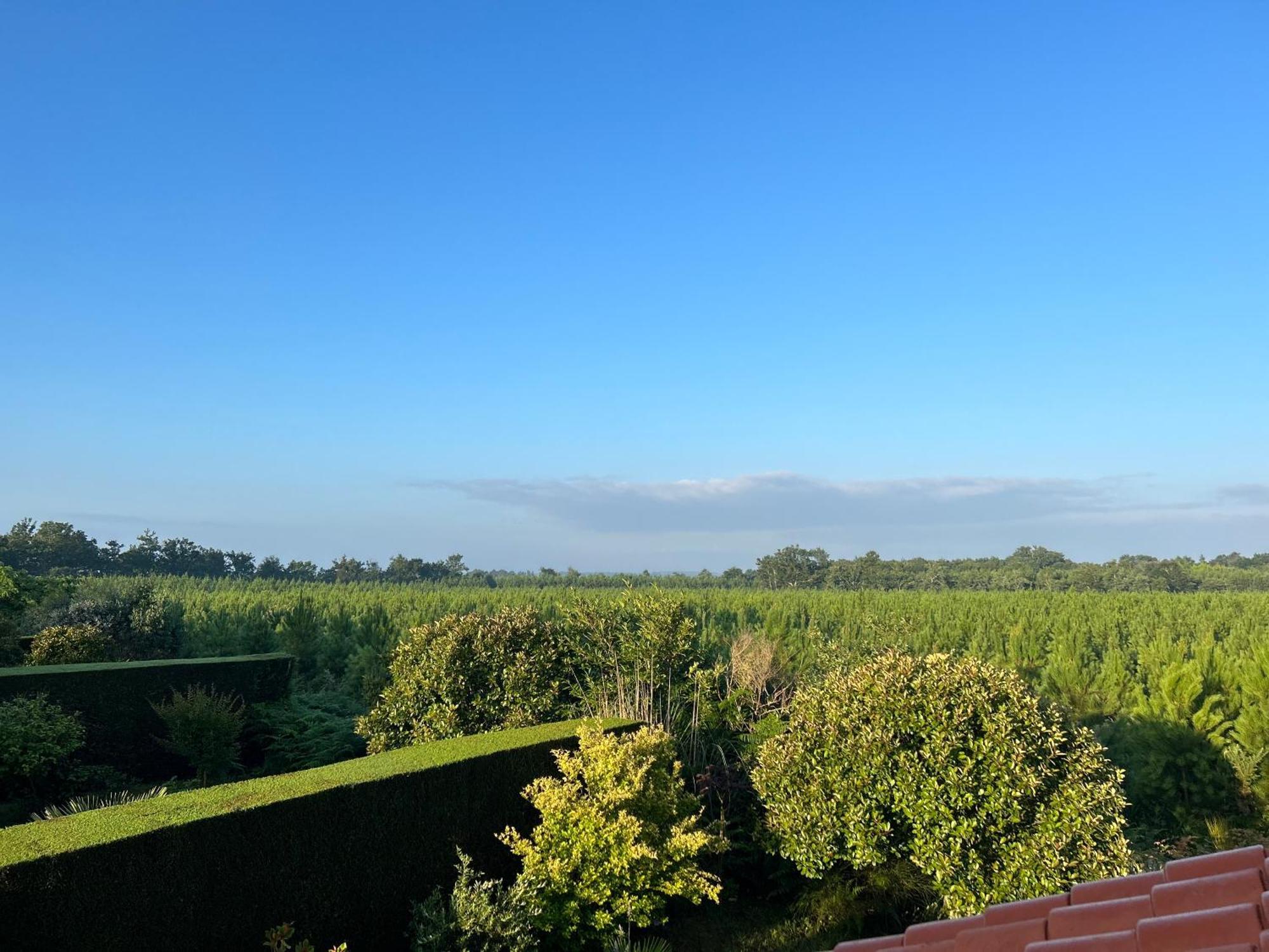 Jolie Maison De Vacances Avec Terrasse Et Jardin Saint-Julien-en-Born Exterior foto